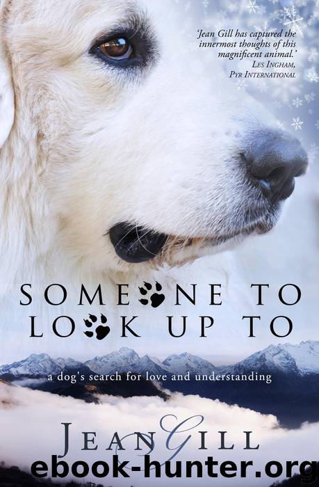 Someone to Look Up To by Jean Gill