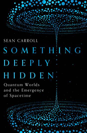 Something Deeply Hidden by Sean Carroll