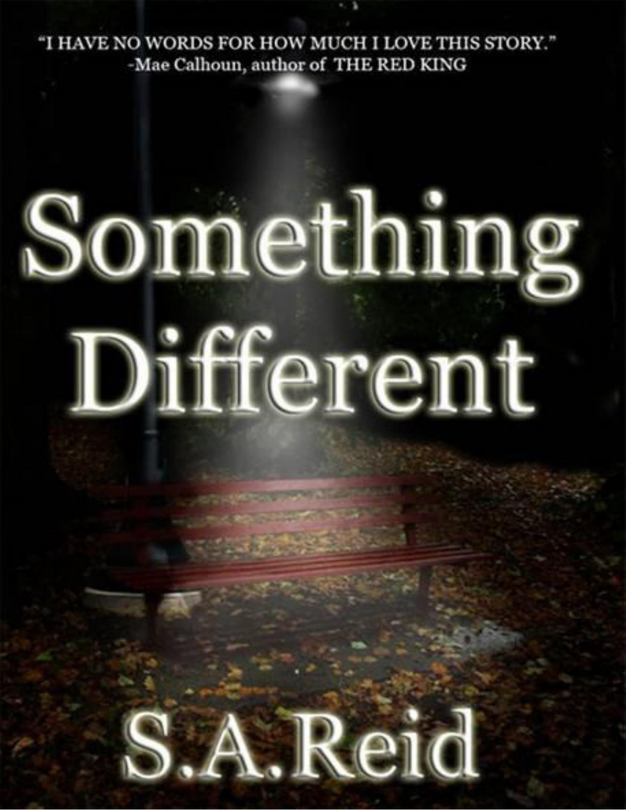 Something Different by Reid S.A