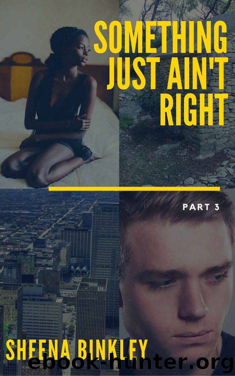 Something Just Ain't Right 3 by Sheena Binkley