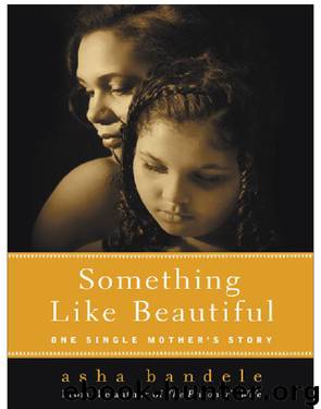 Something Like Beautiful by asha bandele