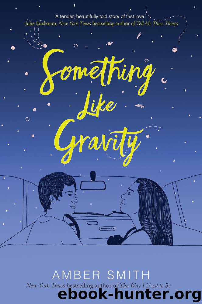 Something Like Gravity by Amber Smith