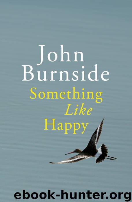 Something Like Happy by John Burnside