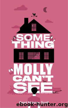 Something Molly Can't See by Carol Maloney Scott