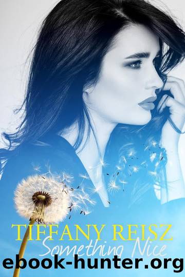 Something Nice by Reisz Tiffany