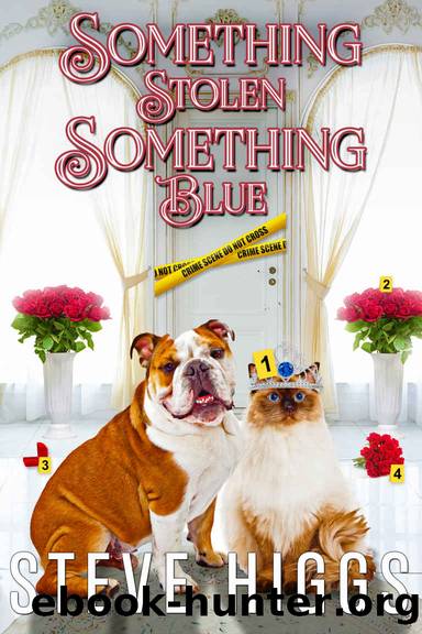 Something Stolen, Something Blue: Felicity Philips Investigates Book 6 by Steve Higgs