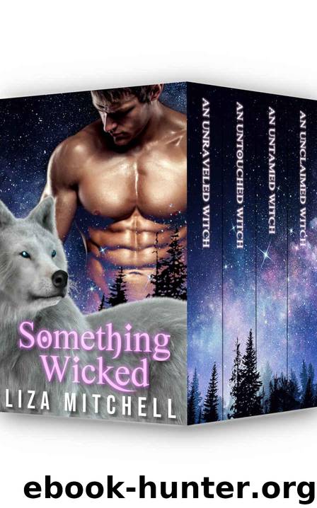 Something Wicked: The Complete Series by Mitchell Liza