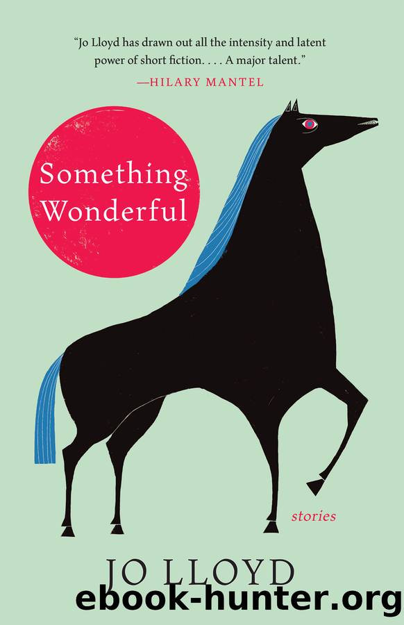 Something Wonderful by Jo Lloyd