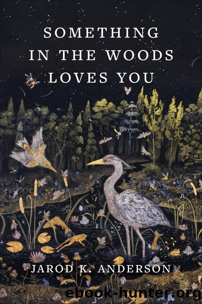 Something in the Woods Loves You by Jarod K. Anderson