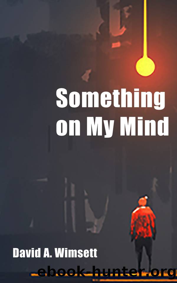 Something on my Mind by Wimsett David A