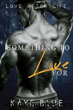 Something to Live For (Love After Life Book 2) by Kaye Blue