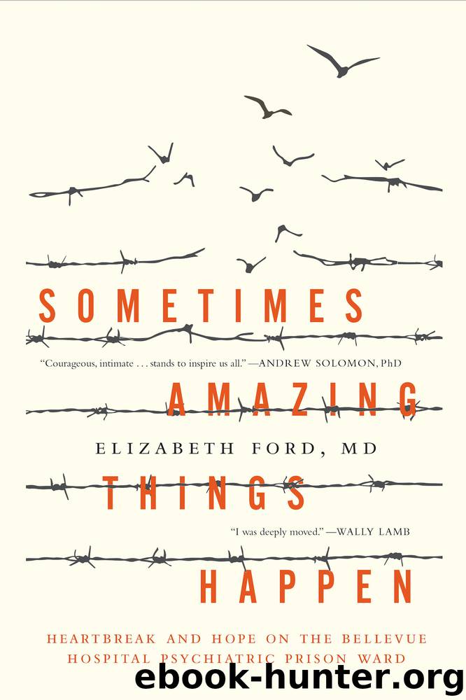 Sometimes Amazing Things Happen by Elizabeth Ford
