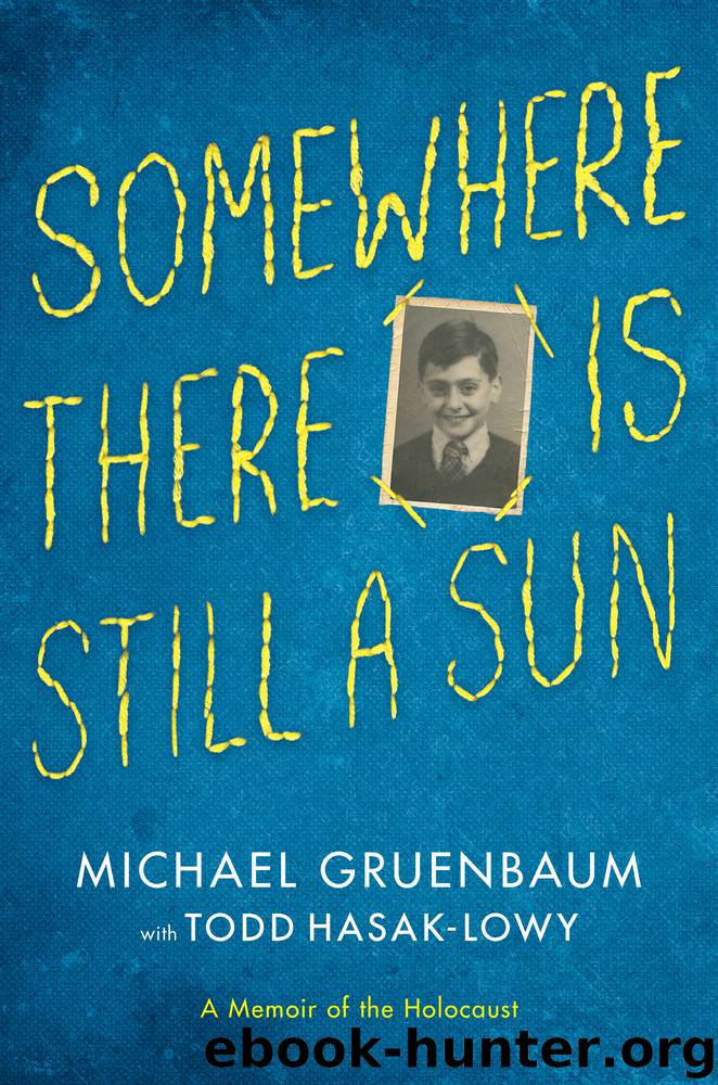 Somewhere There Is Still a Sun by Michael Gruenbaum