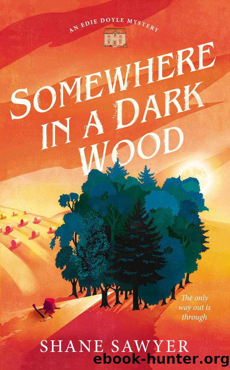 Somewhere in a Dark Wood by Shane Sawyer