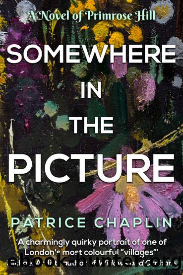Somewhere in the Picture: A novel of Primrose Hill by Patrice Chaplin