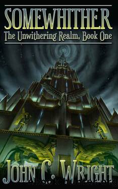 Somewhither by John C Wright