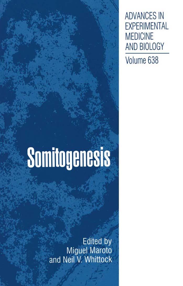 Somitogenesis by Bodo Christ Martin Scaal (auth.) Miguel Maroto PhD Neil V. Whittock PhD (eds.)