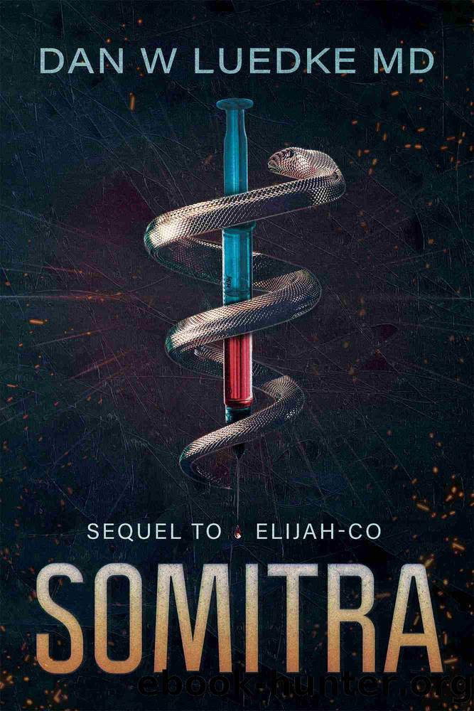 Somitra by Dan Luedke