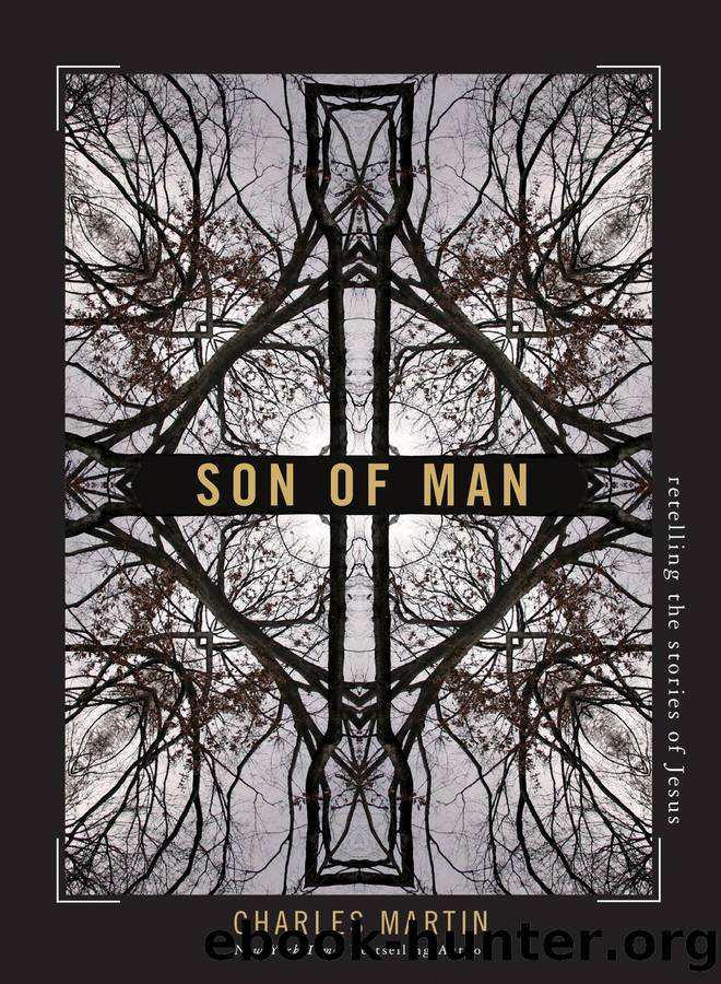 Son of Man by Charles Martin