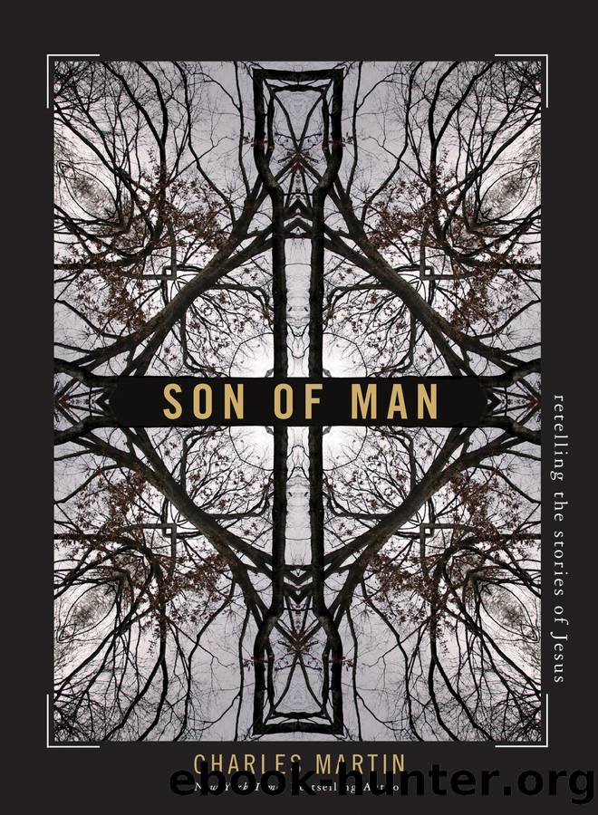 Son of Man by Charles Martin