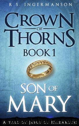 Son of Mary by R S Ingermanson