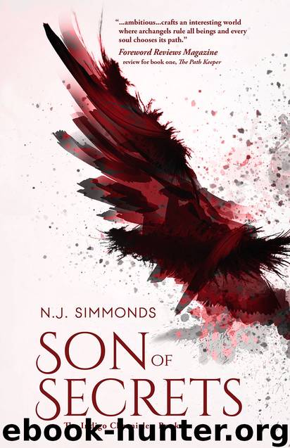 Son of Secrets by N. J. Simmonds