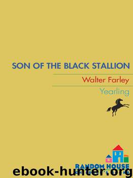 Son of the Black Stallion by Walter Farley