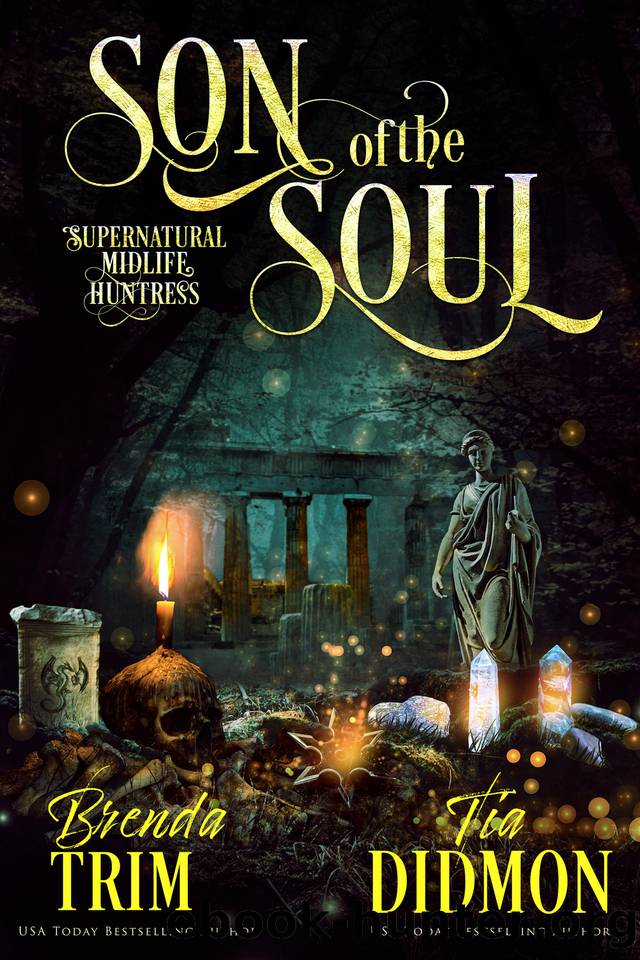 Son of the Soul: Paranormal Women's Fiction (Supernatural Midlife Huntress) (Shrouded Nation Book 17) by Brenda Trim & Tia Didmon