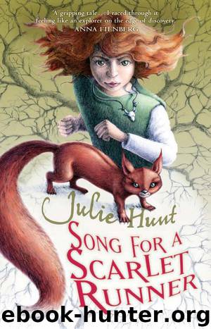 Song for a Scarlet Runner by Julie Hunt