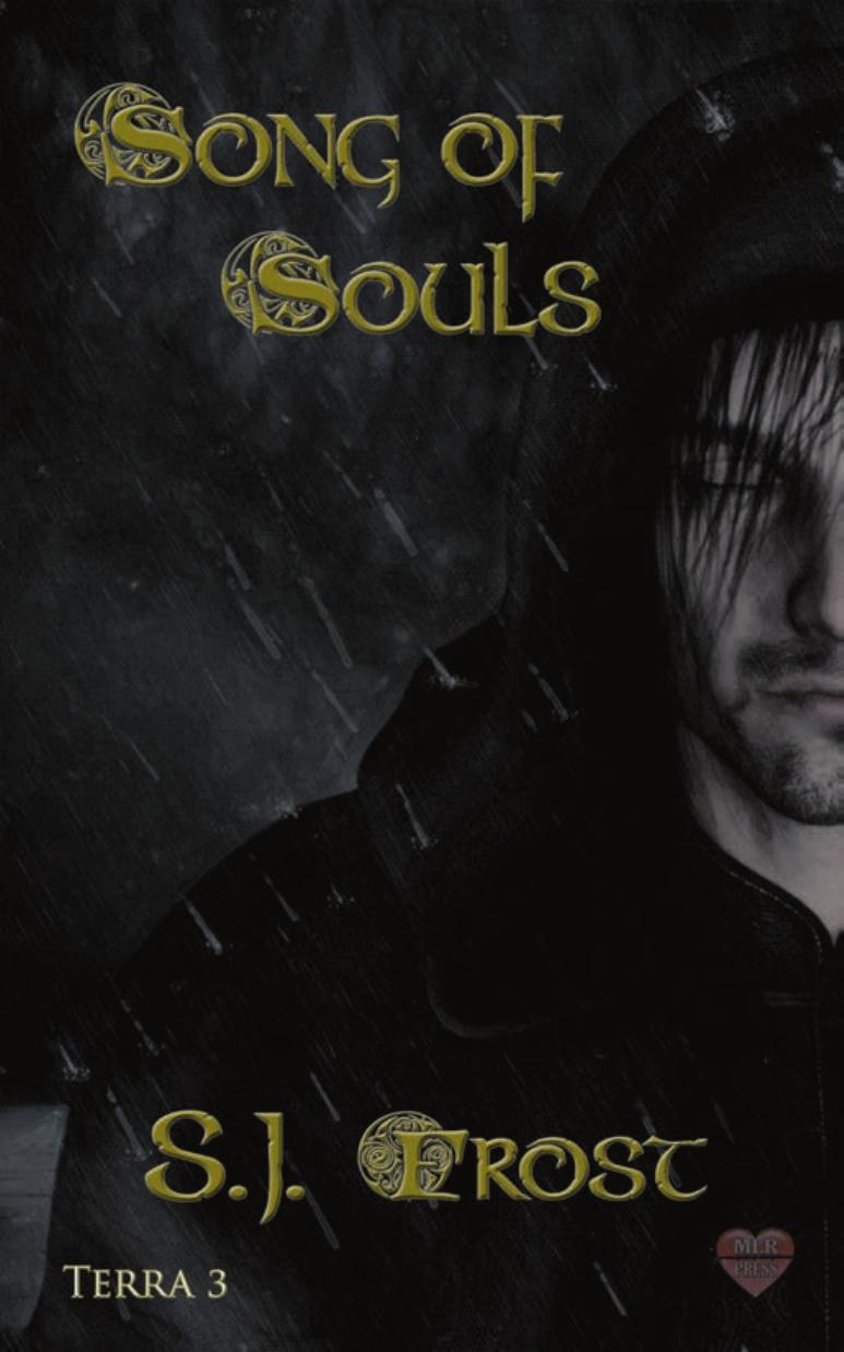 Song of Souls by S.J. Frost