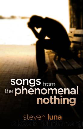 Songs From the Phenomenal Nothing by Steven Luna