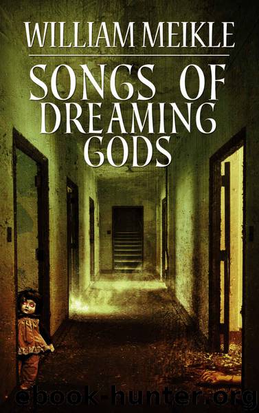 Songs of Dreaming Gods by Meikle William