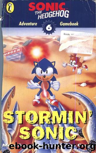 Sonic the Hedgehog Adventure Gamebook #06 by Stormin' Sonic