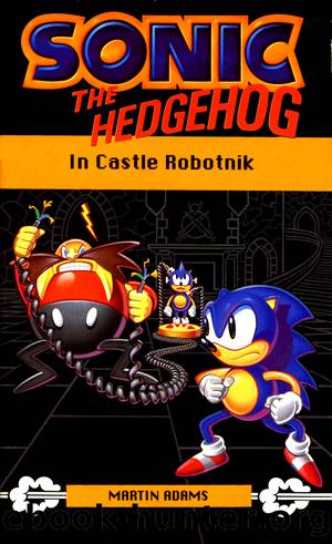 Sonic the Hedgehog in Castle Robotnik by Martin Adams