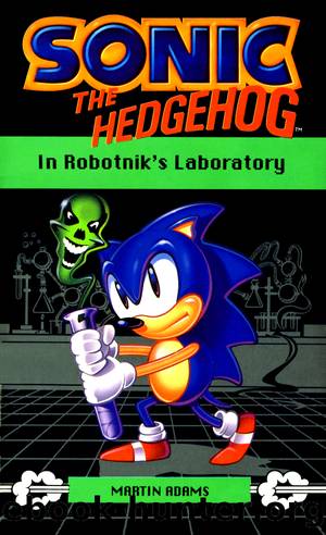 Sonic the Hedgehog in Robotnik's Laboratory by Martin Adams