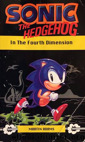 Sonic the Hedgehog in the Fourth Dimension by Martin Adams