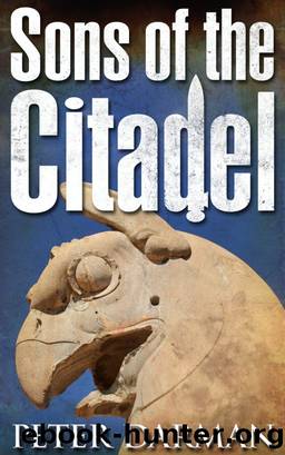 Sons of the Citadel by Peter Darman