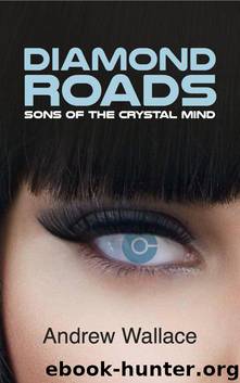 Sons of the Crystal Mind (Diamond Roads Book 1) by Wallace Andrew