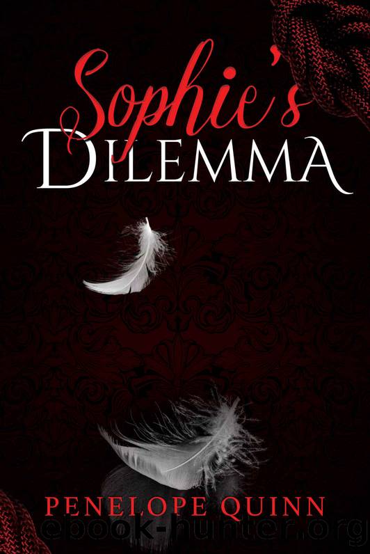 Sophie's Dilemma by Quinn Penelope
