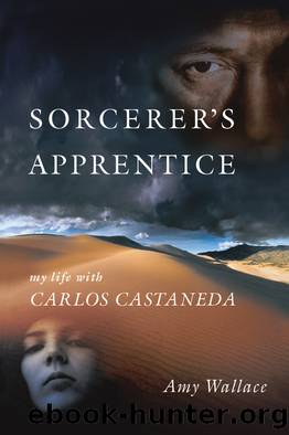 Sorcerer's Apprentice by Amy Wallace