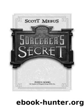 Sorcerer's Secret by Scott Mebus