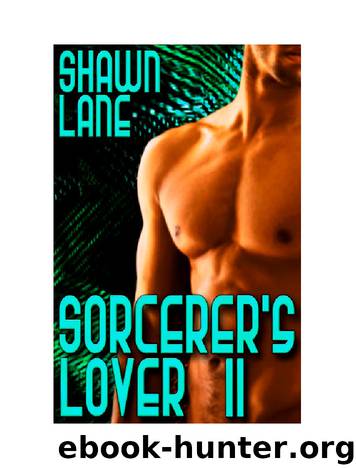 Sorcerers Lover2 by Shawn Lane