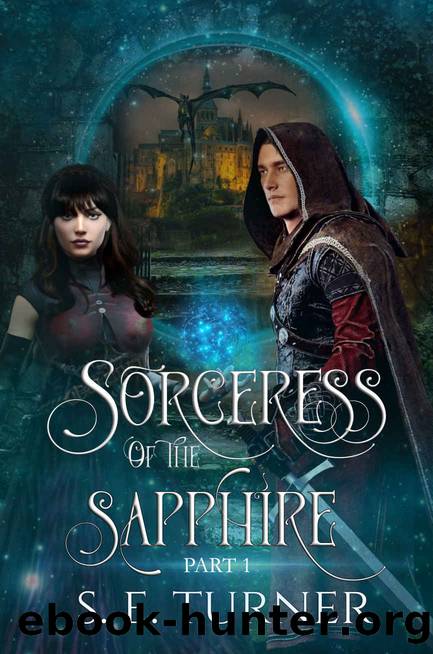 Sorceress of the Sapphire by S. E. Turner