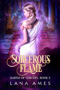 Sorcerous Flame (Harem of Sorcery Book 2) by Lana Ames