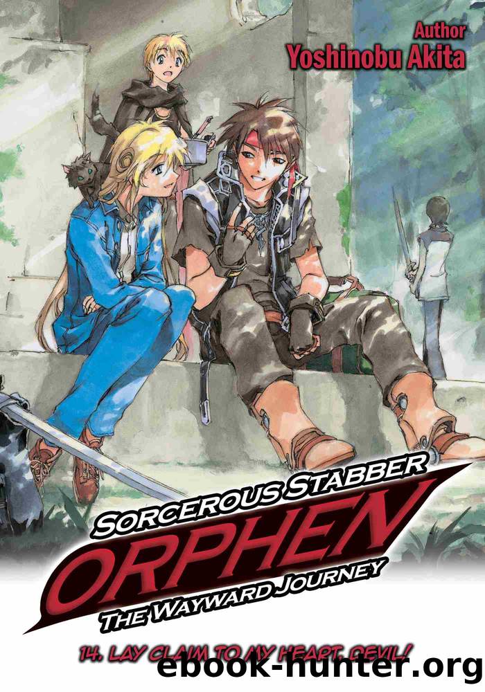 Sorcerous Stabber Orphen: The Wayward Journey, Volume 14 by Yuuya Kusaka