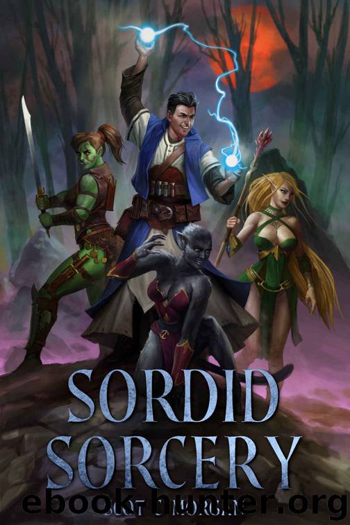 Sordid Sorcery: A Harem Fantasy by Scot C Morgan