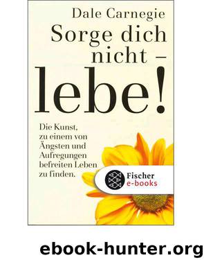 Sorge dich nicht - lebe by Dale Carnegie
