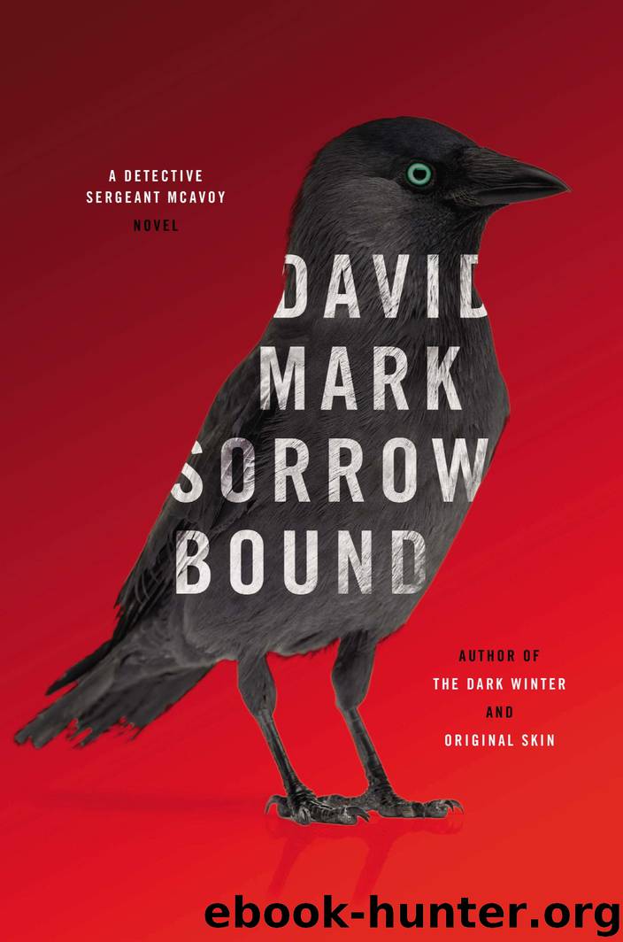 Sorrow Bound by David Mark