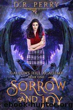 Sorrow and Joy: Gallows Hill Academy: Year One by D.R. Perry