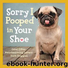 Sorry I Pooped in Your Shoe by Jeremy Greenberg